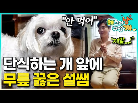 "Please eat..." Teacher Seol, who is the first to wear an apron and stand in front of the kitchen...