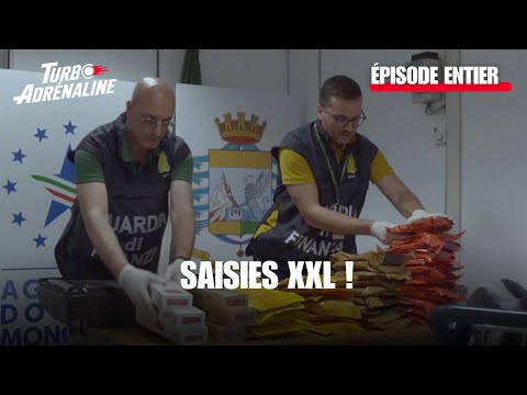 Saisies chocs : tabac, viande et poisson interdits !| Au cœur des douanes: destination Europe