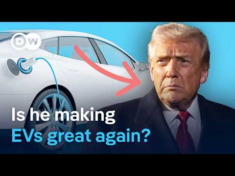 How new demand for EVs could redefine global competition | DW News