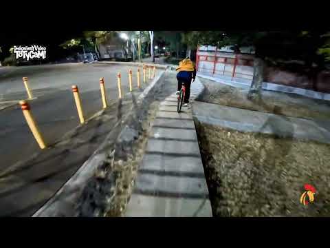 CIRCUITO [Entre Las Facultades De C.U]