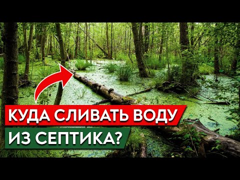 Куда отводить воду из септика? / Дренажный колодец или канава — ЧТО ВЫБРАТЬ?