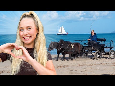 MIT der KUTSCHE am STRAND!