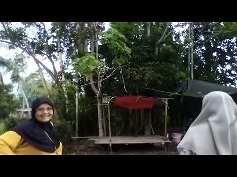 Day 42 - HOW SUPPORTIVE MY AUNTY & MY COUSIN ⁉️#phdnomad #offgrid #campercar #campervan #dangau