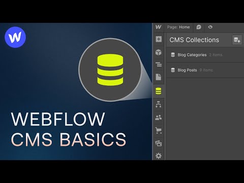 Webflow CMS Tutorial for Beginners