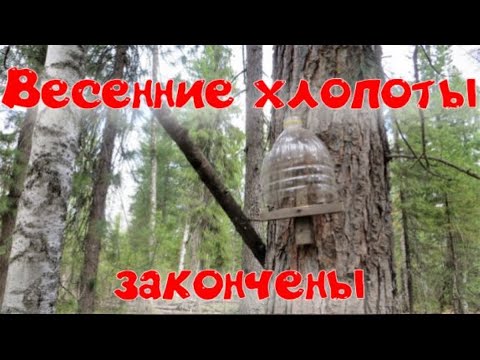 Закончил работы на путике прошёл до самых дальних капканов Арса водоплавающая попал под снег град