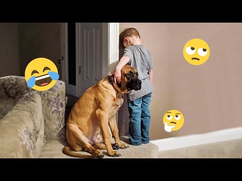 FUNNIEST DOGS On The Internet ππΆ I DARE You NOT to LAUGH #1