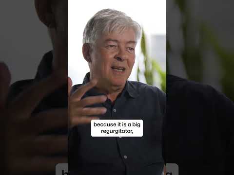 Anders Hejlsberg on the worst programming language for AI