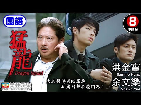 全球菁英集結香港 洪金寶聯手吳建豪 火線掃蕩國際罪惡｜猛龍 (國語) Dragon Squad｜吳建豪｜洪金寶｜余文樂｜夏雨｜黃聖依｜Maggie Q｜國語中字｜8號電影院 HK Movie｜美亞