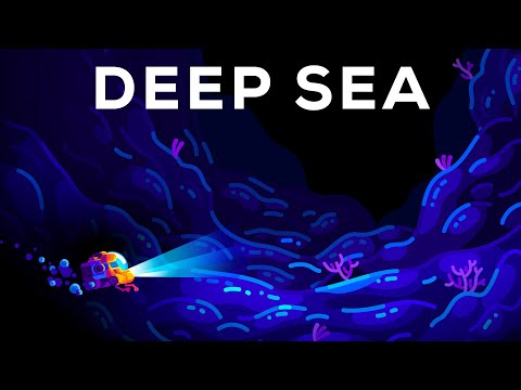 What’s Hiding at the Most Solitary Place on Earth? The Deep Sea