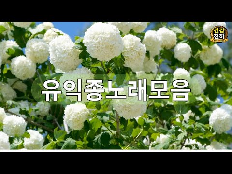 유익종 베스트곡 노래모음, 7080추억의 노래, 시니어감성노래  #중년건강 #당뇨 #치매 #암