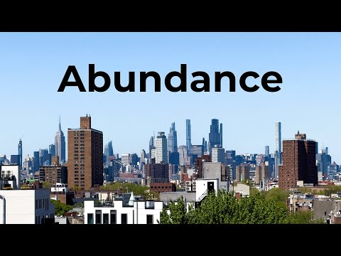 Notes on Abundance: How Democrats Failed American Cities