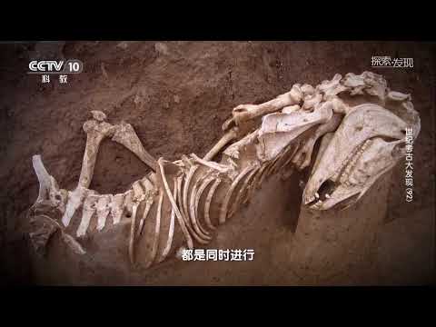 《探索·发现》 20251124 世纪考古大发现（92） |  中华国宝
