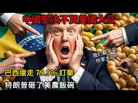 中國堅決不買美國豆!巴西接走 79.9% 訂單:特朗普的關稅牌,砸了美農的飯碗?