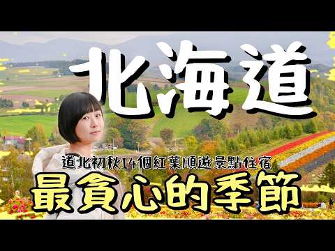 貪心旅人北海道初秋之旅，14個美食景點，旭川、美瑛、富良野花海紅葉，鐵皮屋烤雞、薰衣草冰淇淋，以及住宿分享等地點實拍，一起體驗當地最道地的秋日美景！