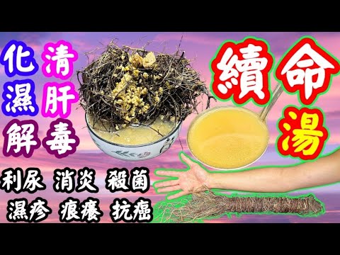 Pork ribs soup with prayer beads and raw barley🔴雞骨草薏米排骨湯