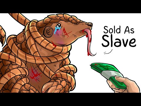 Why it Sucks To Be Born As a Pangolin