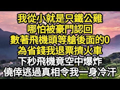 我從小就是只鐵公雞，哪怕被豪門認回，數著飛機頭等艙後面的0，為省錢我退票擠火車，下秒飛機竟空中爆炸，僥倖逃過真相令我一身冷汗 #故事#悬疑#人性#刑事#人生故事#生活哲學#為人哲學