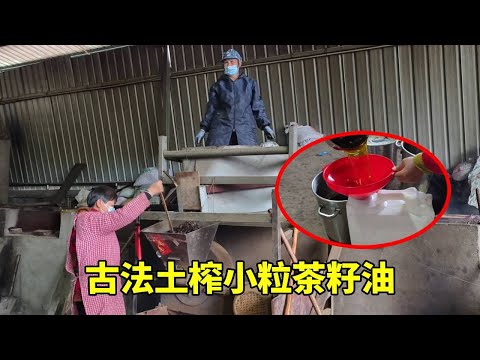 老罗家老树小粒山茶籽油榨出来了，用古法土榨带大家看榨油全过程 ~【侗家老罗】