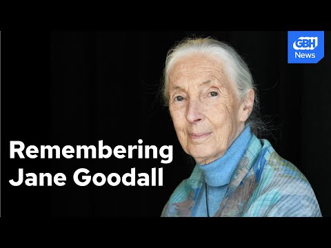 Jane Goodall exclusive interview: Why she has hope for Earth's future (originally aired Sept. 2023)
