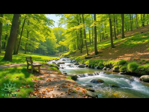Beautiful Relaxing Music🌿Peaceful Ambience for Deep Sleep, Calm Nature Sounds for Stress Release