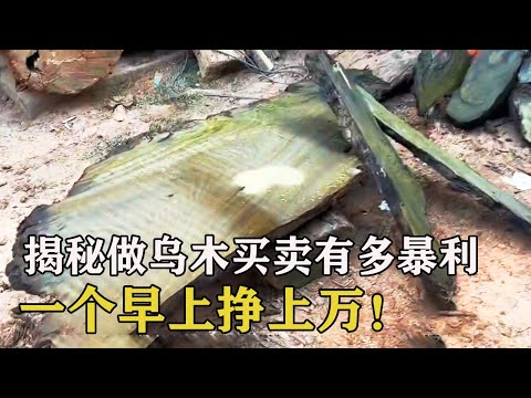 揭秘做乌木买卖有多暴利，小伙一个早上挣上万，开料成功翻几倍！#土家瑶妹 #手串 #文玩  #金丝楠乌木