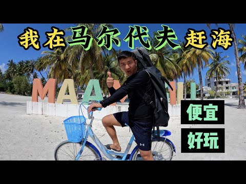 《环球探海记》马尔代夫 第6天：马代旅游度假（吃住行），每人每天210元，便宜超好玩  #马尔代夫 #旅行攻略 #赶海 #度假