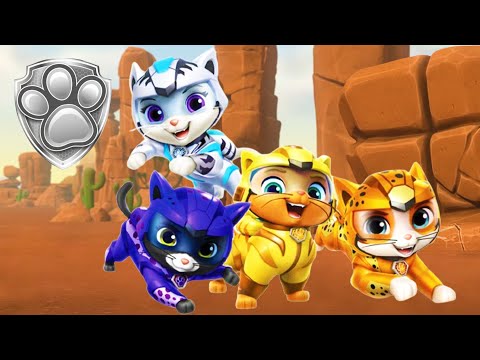 Introducing the Cat Pack! 🐱 | Mighty Pups Official Channel | PAW Patrol