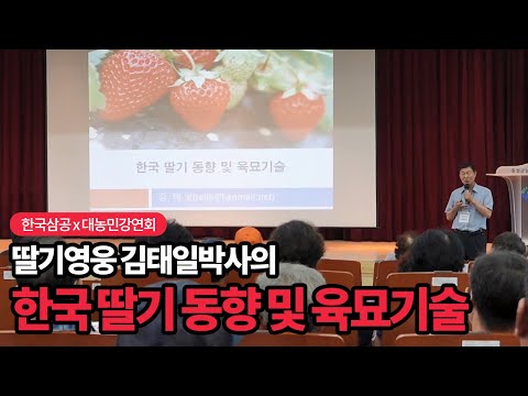 한국 딸기 동향 및 육묘기술! 딸기 박사 김태일의 딸기 강연회