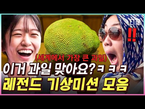 [#뿅뿅지구오락실] 첫번째 과일은~용과! 두번째 과일은…뭐야..?🌸 과일 숨기기 기상 미션에 레전드 찍은 지락이들ㅋㅋ | #디글