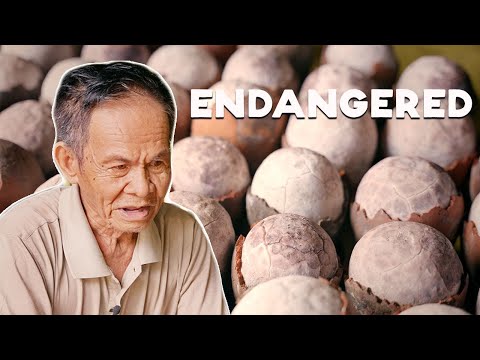 One of The Rarest Salt in the World is from the Philippines (Asin Tibuok)