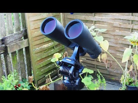 Visual Astronomy 1: Celestron SkyMaster 15x70 binoculars