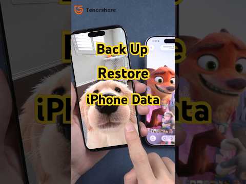 Back Up and Restore iPhone Data in Minutes! 📱⚡