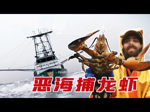 恶海捕龙虾_捕虾团队冒着生命危险出海捕虾，所幸收获也是不菲并得到数万美元的收入