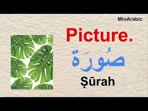 Learn Arabic : Arabic words for Beginners   (English - Arabic) |  تعلم عربي - إنجليزي