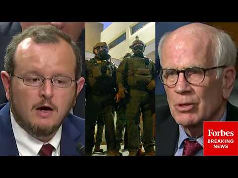 'In What World...?': Welch Asks ICE Whistleblower Why Some DHS Agents Need Military Gear