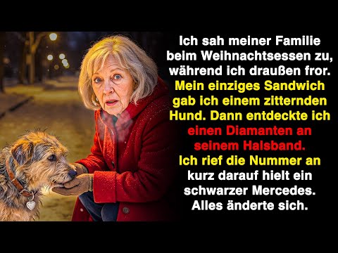 Meine Familie aß drinnen, ich saß draußen und fütterte einen Streuner. Sein Halsband hatte…