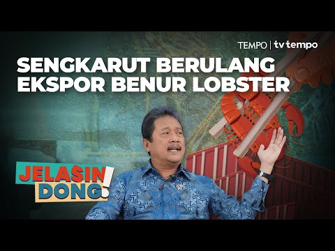 Dugaan Kerugian Negara di Ekspor Benur Lobster | Jelasin Dong!