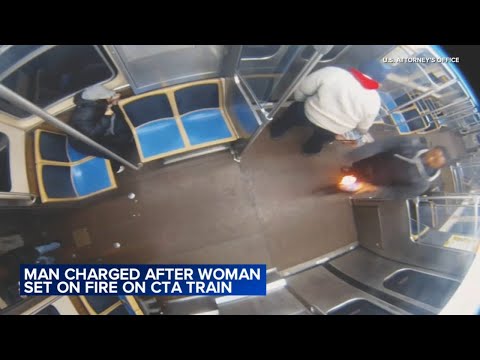 Suspect in CTA Blue Line attack has long criminal history