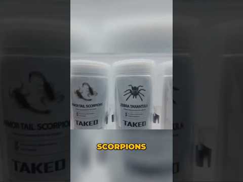 Taste Testing Japan’s Bug Vending Machines