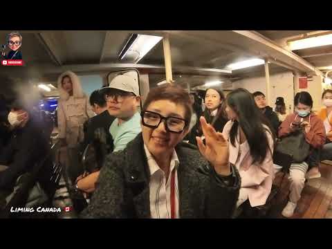 # 235  長州老字号咖哩腐竹 +白饭  炒面 長州是个好地方 