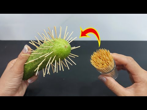 NOBODY believes it but it really works! 64 Tips Tricks You'll Use Every Day