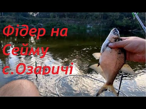 Фідер в Озаричах, річка Сейм.