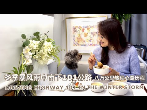 Driving Highway 101 in the Winter Storm | Amazing ROBAM Steam Oven