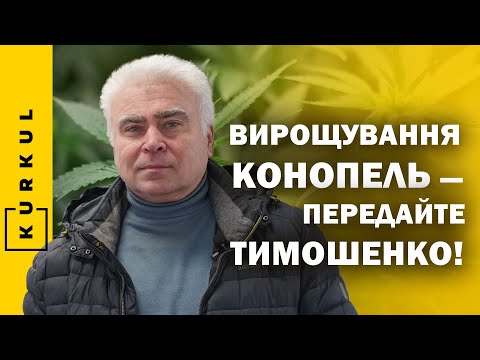 Юрій Марчук: Конопляний бум у світі дійшов до України/Куркуль