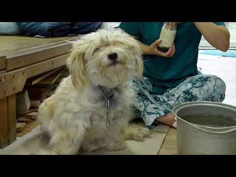 [재능기부]사고로 걷지못하던 아이..통갑옷벗겨주니 기적이 일어났습니다..(in 밀양🤍) | A child who couldn't walk due to an accident.