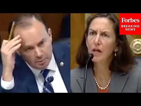 'Tell Me What You Define As An Assault Weapon': Mike Lee Presses Biden Nominee On Tweet About Guns