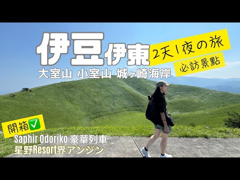 伊豆伊東2日1夜の旅｜東京近郊｜必訪景點大室山｜初次入住星野集團界ANJIN｜開箱豪華列車サフィール踊り子 #伊豆 #伊東 #東京近郊 #東京旅遊 #東京旅行