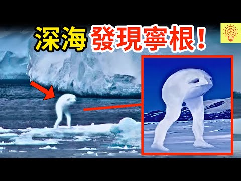 科學家在深海拍到【寧根】！現場畫面曝光，把專家都嚇傻了！