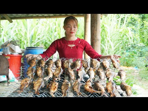 Pull Fishing Nets - Marinate, Smoked Fish Processing, Goes To Market Sell