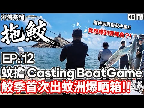 【外海系列】蚊擔Casting Boat Game #12｜蚊擔｜鮫魚 黄翔 海狼 海鯉 泥鯭｜鮫季首次出蚊洲爆晒箱！！多到要揀魚！！堅持到最後就會中鮫魚？！｜4K｜奸仔